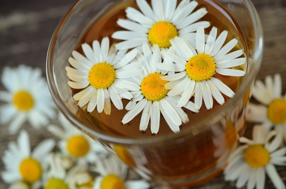 Chamomile tea(Pixabay) Chamomile tea(Pixabay)
