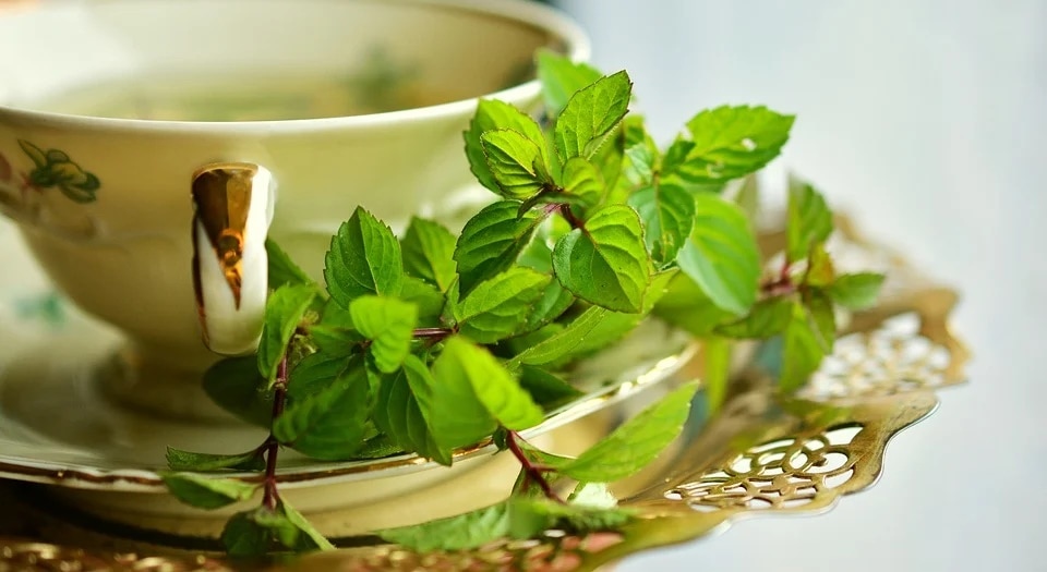 Peppermint tea.