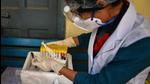 A health worker holds blood samples collected for a Covid sero survey in Delhi. (Sanchit Khanna/HT PHOTO) A health worker holds blood samples collected for a Covid sero survey in Delhi. (Sanchit Khanna/HT PHOTO)