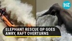 Elephant rescue ops goes awry, raft overturns