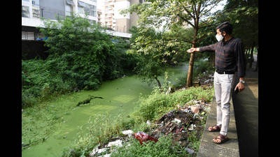As mosquito breeding increases in monsoon, Kharghar residents demand closure of nullah near Sectors 20 and 21 (BACHCHAN KUMAR/HT PHOTO)