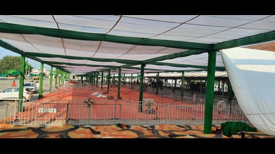 Tents installed for the ‘Samman Diwas Samaroh’ in Jind to mark the birth anniversary of Devi Lal. (Manoj Dhaka/HT) Tents installed for the ‘Samman Diwas Samaroh’ in Jind to mark the birth anniversary of Devi Lal. (Manoj Dhaka/HT)