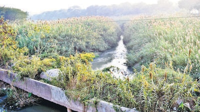 Though Chandigarh has successfully stopped contamination of rivulets in most areas, there are at least two locations near Faidan and Raipur Kalan villages where water pollution is still taking place. (HT FILE PHOTO) Though Chandigarh has successfully stopped contamination of rivulets in most areas, there are at least two locations near Faidan and Raipur Kalan villages where water pollution is still taking place. (HT FILE PHOTO)