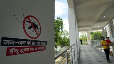 The district has reported 18 dengue cases and two malaria cases this year, compared to 51 cases reported in 2020. (Sunil Ghosh/HT Photo)