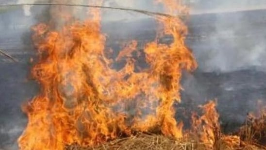 Hindustan Times earlier reported that farmers in Delhi only burn only 1% of stubble.(HT file photo)