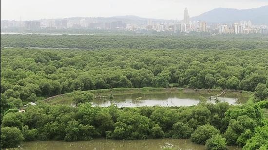 The study will quantify the impact of the Nisarga and Tauktae cyclones on mangrove and non-mangrove areas, the damage caused in Raigad and Ratnagiri. (Hindustan Times)