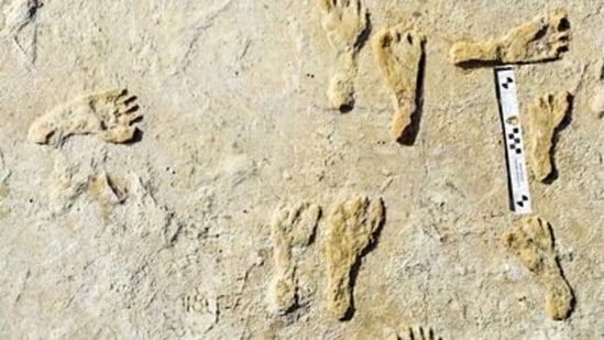 Fossilized human fossilized footprints at the White Sands National Park in New Mexico.&nbsp;(AP)