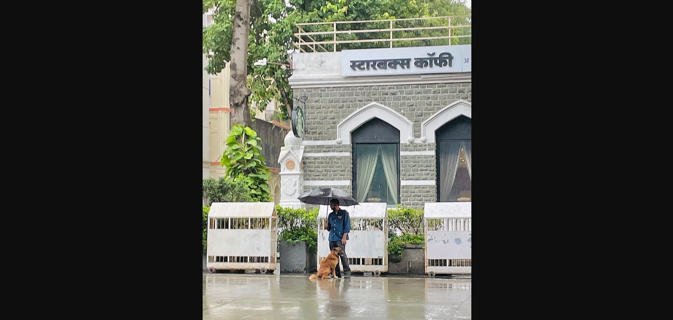 The image shows a man shielding a stray dog from rain. (Instagram/@ratantata)