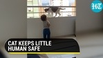 CAT KEEPS LITTLE HUMAN SAFE CAT KEEPS LITTLE HUMAN SAFE
