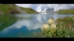 A trio of Brahma Kamals, known as the Noor of the Himalayas, bloom on the lake’s edge with the white Hemkund shrine in the backdrop. (PHOTO: BHAVESH VISANI) A trio of Brahma Kamals, known as the Noor of the Himalayas, bloom on the lake’s edge with the white Hemkund shrine in the backdrop. (PHOTO: BHAVESH VISANI)