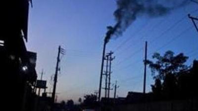 Positive action people can take in daily life to reduce the impact of climate change was in focus at Punjabi University webinar. (HT photo)
