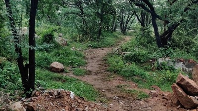 HT reported in July how smugglers from unauthorised neighbourhoods near the Asola Bhatti Wildlife Sanctuary were using the forest routes to bring in large quantities of liquor from Haryana to Delhi (HT Photo) (HT_PRINT) HT reported in July how smugglers from unauthorised neighbourhoods near the Asola Bhatti Wildlife Sanctuary were using the forest routes to bring in large quantities of liquor from Haryana to Delhi (HT Photo) (HT_PRINT)