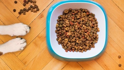 Dog food taster: Yes, there is a job in the world where a person is trying out dog food to check the flavour, texture and quality of the product and compare it with rival brands. (Unsplash) Dog food taster: Yes, there is a job in the world where a person is trying out dog food to check the flavour, texture and quality of the product and compare it with rival brands. (Unsplash)