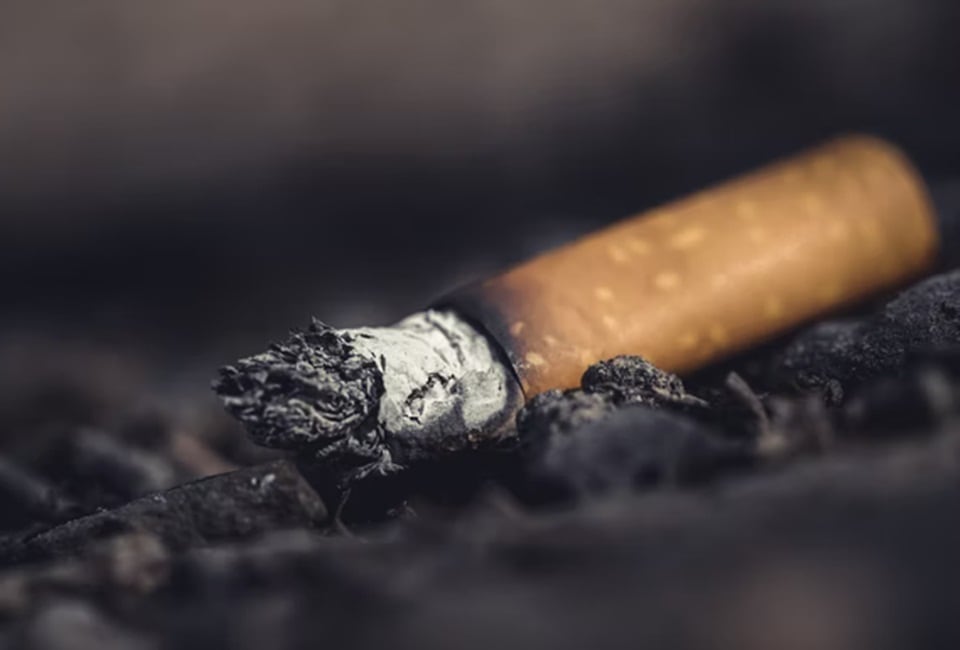 Cigarette smoking during childhood and adolescence can adversely affect lung growth and function. (Unsplash) Cigarette smoking during childhood and adolescence can adversely affect lung growth and function. (Unsplash)