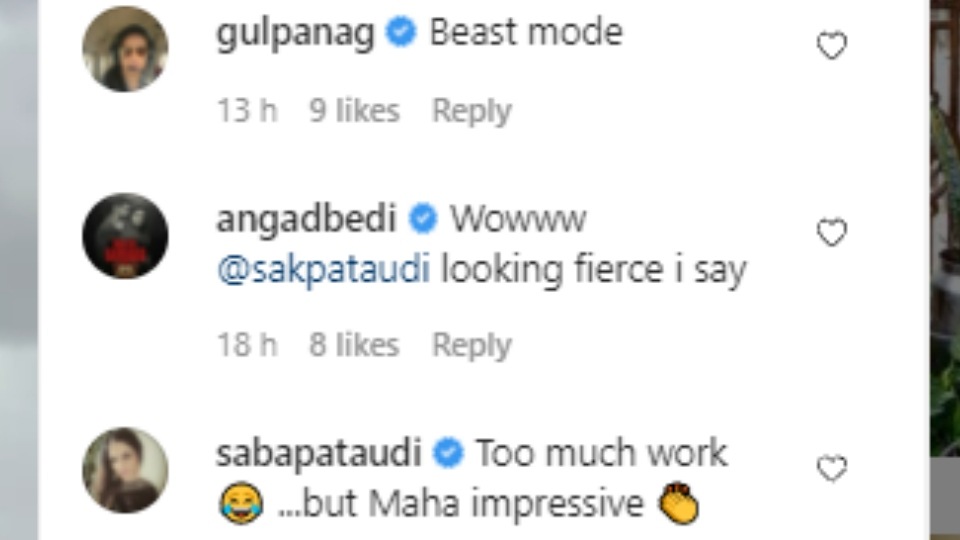 Comments on Soha Ali Khan's post.&nbsp;