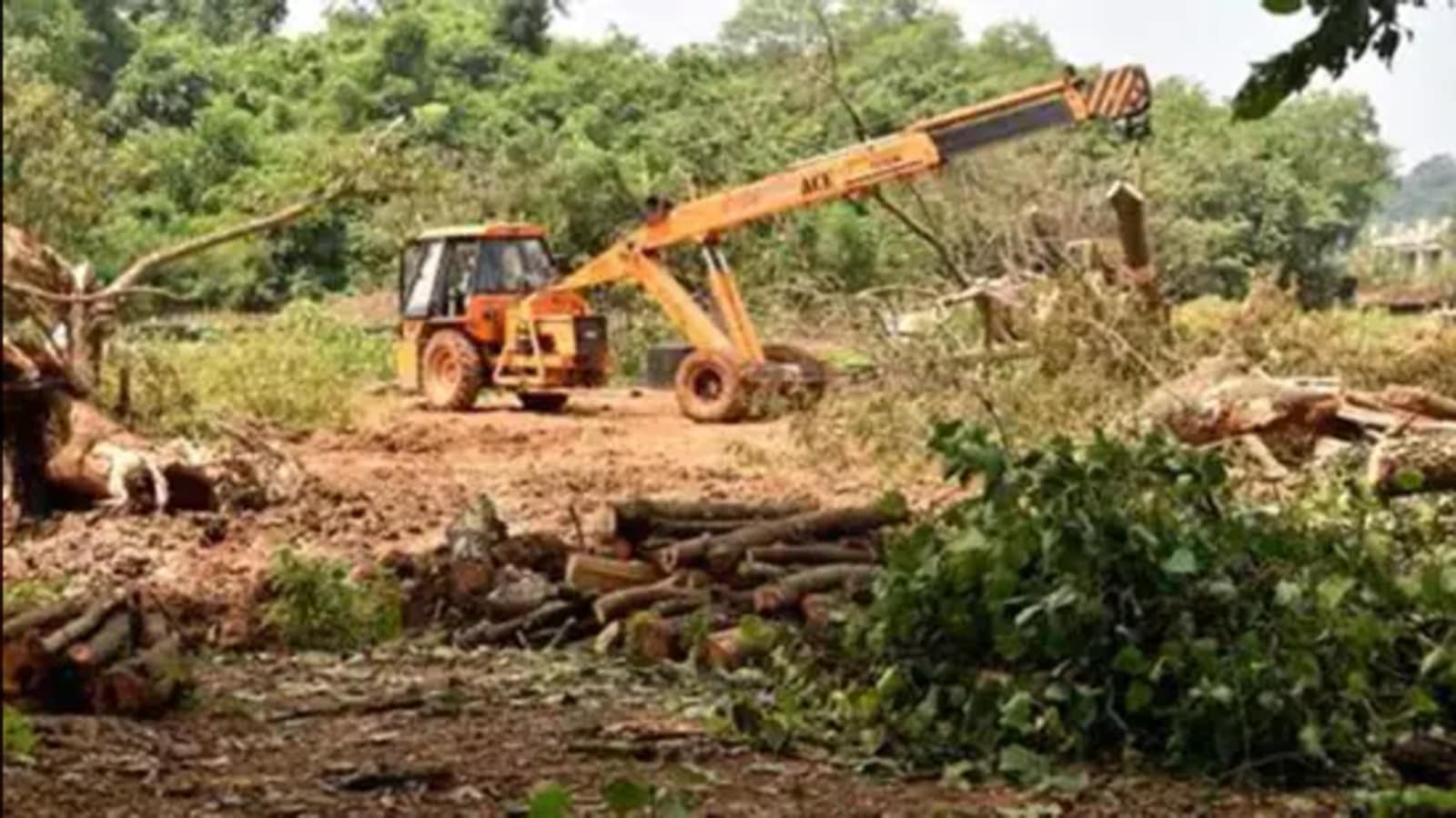 SC committee seeks reply on illegal felling in Corbett tiger reserve