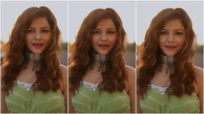 Rubina left her tresses open in a side parting with the ensemble and styled them in well-defined curls. She chose subtle eye shadow, nude lip shade, blushed cheeks, glowing skin and sharp contour to complete her glam. (Instagram/@rubinadilaik) Rubina left her tresses open in a side parting with the ensemble and styled them in well-defined curls. She chose subtle eye shadow, nude lip shade, blushed cheeks, glowing skin and sharp contour to complete her glam. (Instagram/@rubinadilaik)