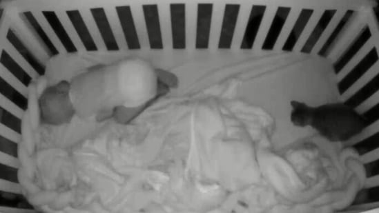 The image shows the cat climbing into the baby's crib.(Jukin Media)