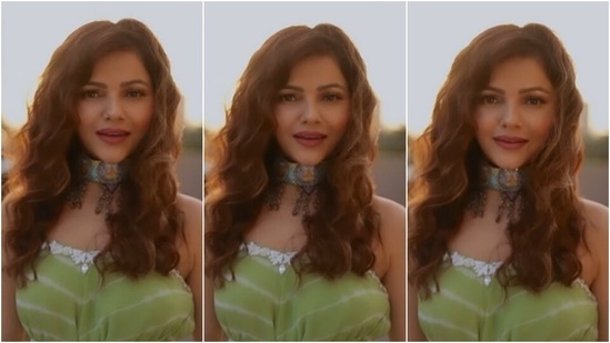 Rubina left her tresses open in a side parting with the ensemble and styled them in well-defined curls. She chose subtle eye shadow, nude lip shade, blushed cheeks, glowing skin and sharp contour to complete her glam.(Instagram/@rubinadilaik)