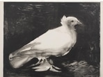 Picasso's doves were popular in East Germany(Succession Picasso/VG Bild-Kunst, Bonn 2021) Picasso's doves were popular in East Germany(Succession Picasso/VG Bild-Kunst, Bonn 2021)