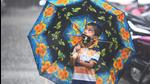 Mumbai has been placed under an orange category weather alert for September 28, indicating chances of very heavy rain at isolated places, while Thane and Palghar districts have been placed under a red category weather alert, indicating chances of extremely heavy rain at isolated places (Satish Bate/HT PHOTO) Mumbai has been placed under an orange category weather alert for September 28, indicating chances of very heavy rain at isolated places, while Thane and Palghar districts have been placed under a red category weather alert, indicating chances of extremely heavy rain at isolated places (Satish Bate/HT PHOTO)