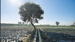Narela village, one of the three sub-cities planned by DDA, has been notified by Delhi government as nine more villages where land pooling policy will be implemented. The policy aims to provide close to 1.7 million houses in the urban extensions. (Biplov Bhuyan/HT PHOTO) Narela village, one of the three sub-cities planned by DDA, has been notified by Delhi government as nine more villages where land pooling policy will be implemented. The policy aims to provide close to 1.7 million houses in the urban extensions. (Biplov Bhuyan/HT PHOTO)