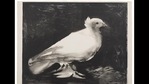 Picasso's doves were popular in East Germany(Succession Picasso/VG Bild-Kunst, Bonn 2021) Picasso's doves were popular in East Germany(Succession Picasso/VG Bild-Kunst, Bonn 2021)