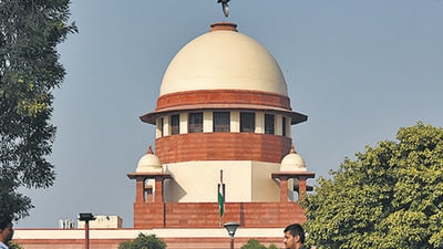 On June 22, the Supreme Court directed the state election commission to conduct the local body polls in nine new districts in Tamil Nadu. (HT FILE)