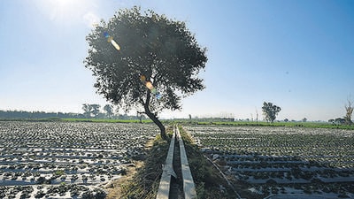 Narela village, one of the three sub-cities planned by DDA, has been notified by Delhi government as nine more villages where land pooling policy will be implemented. The policy aims to provide close to 1.7 million houses in the urban extensions. (Biplov Bhuyan/HT PHOTO) Narela village, one of the three sub-cities planned by DDA, has been notified by Delhi government as nine more villages where land pooling policy will be implemented. The policy aims to provide close to 1.7 million houses in the urban extensions. (Biplov Bhuyan/HT PHOTO)