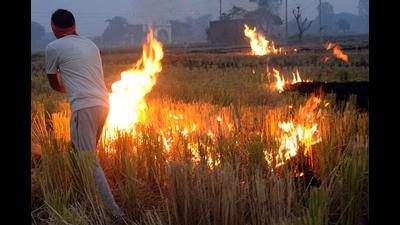 Chief agriculture officer asked farmers from Raowal village in Ludhiana to join hands with the state government in wiping out stubble burning menace from Punjab. (HT file)