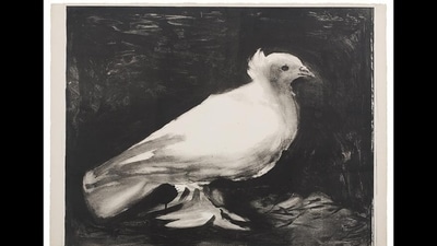 Picasso's doves were popular in East Germany (Succession Picasso/VG Bild-Kunst, Bonn 2021) Picasso's doves were popular in East Germany (Succession Picasso/VG Bild-Kunst, Bonn 2021)