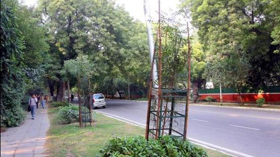 Most saplings have been planted in the Karawal Nagar-Bhajanpura road stretch. (Pic for representation only/HT Archive) Most saplings have been planted in the Karawal Nagar-Bhajanpura road stretch. (Pic for representation only/HT Archive)