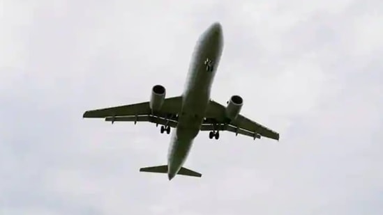Prior to boarding, air operators will check the travellers’ test results ensuring they are eligible to come to Canada.(Reuters) Prior to boarding, air operators will check the travellers’ test results ensuring they are eligible to come to Canada.(Reuters)