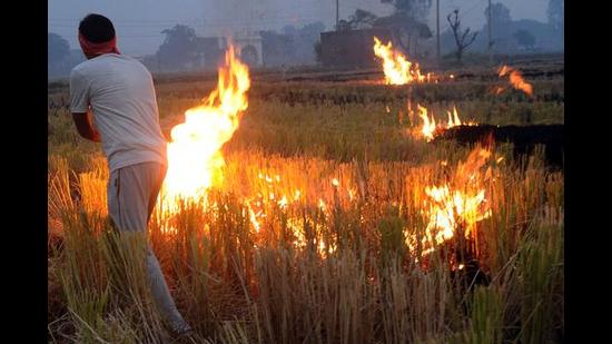 Chief agriculture officer asked farmers from Raowal village in Ludhiana to join hands with the state government in wiping out stubble burning menace from Punjab. (HT file)