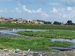 This is no ordinary pond: it is a toxic reminder of the 1984 Bhopal Gas Tragedy that killed at least 2,200 people