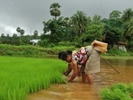 Poor quality of material inputs are hardly a concern for farmers, but what is really a problem is their lack of awareness Poor quality of material inputs are hardly a concern for farmers, but what is really a problem is their lack of awareness