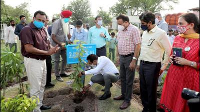 Chandigarh adviser Dharam Pal planting a sapling at New Park in Indira Colony, Manimajra, on Tuesday. (HT PHOTO)