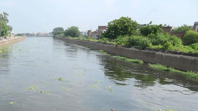 The Rajasthan high court issued notice to the government on a petition that wants nets to be set up on the Indira Gandhi canal to stop bodies from flowing into the state (HT photo/Representative image) The Rajasthan high court issued notice to the government on a petition that wants nets to be set up on the Indira Gandhi canal to stop bodies from flowing into the state (HT photo/Representative image)