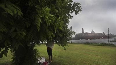 The forest survey of India has mentioned two categories of terrain for the purpose of green cover -- first is hilly and the second one is plains. (AP) The forest survey of India has mentioned two categories of terrain for the purpose of green cover -- first is hilly and the second one is plains. (AP)