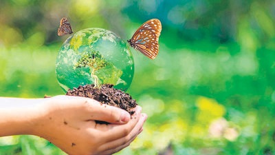 Beehives in natural areas, and butterflies that begin life on host plants, also help in the pollination of plants in city gardens. Pune’s biodiversity conservation plan and strategy should be carried out with ward-wise public participation. (SHUTTERSTOCK (FOR REPRESENTATIONAL PURPOSE)) Beehives in natural areas, and butterflies that begin life on host plants, also help in the pollination of plants in city gardens. Pune’s biodiversity conservation plan and strategy should be carried out with ward-wise public participation. (SHUTTERSTOCK (FOR REPRESENTATIONAL PURPOSE))