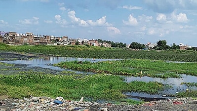 This is no ordinary pond: it is a toxic reminder of the 1984 Bhopal Gas Tragedy that killed at least 2,200 people (HT_Print) This is no ordinary pond: it is a toxic reminder of the 1984 Bhopal Gas Tragedy that killed at least 2,200 people (HT_Print)