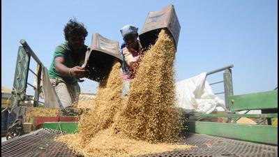 Mohali DC Isha Kalia said that sub-divisional magistrates would be held accountable for smooth paddy procurement operations in grain markets. (HT FILE PHOTO)