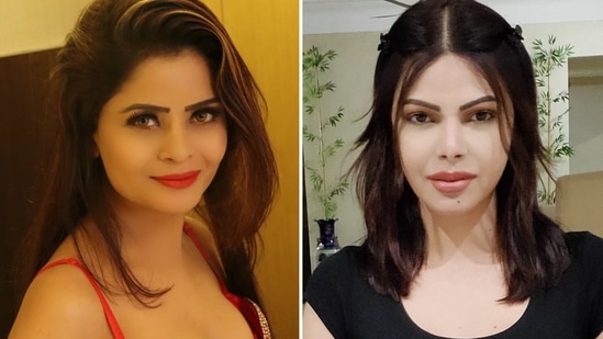 Gehana Vasisth criticised Sherlyn Chopra for taking digs at Raj Kundra and Shilpa Shetty.