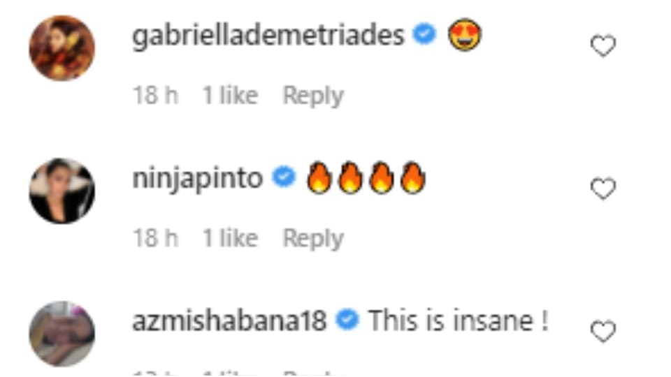 Comments on Shibani's post. Comments on Shibani's post.