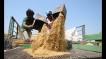 Farmers drying their paddy Chandigarh, September, 29, 2020. (Ravi Kumar/Hindustan Times) Farmers drying their paddy Chandigarh, September, 29, 2020. (Ravi Kumar/Hindustan Times)