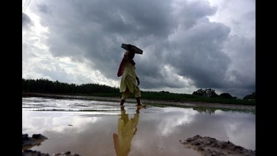 The India Meteorological Department recorded 4.4 mm of rain in Chandigarh on Wednesday between 8.30am and 5.30pm. (HT FILE PHOTO)