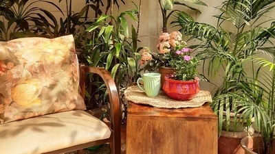 According to Vastu-Shashtra, there are certain rules to be followed when setting up a garden at your home. According to Vastu-Shashtra, there are certain rules to be followed when setting up a garden at your home.