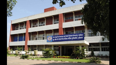 Experts from GADVASU, Ludhiana, said that rabies remains a deadly zoonosis worldwide and causes 59,000 deaths per year of which around 20,000 are reported in India. (HT file)