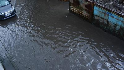 The downpour in central Maharashtra and other parts of the state has caused heavy damage to standing crops of Kharif season (HT PHOTO) The downpour in central Maharashtra and other parts of the state has caused heavy damage to standing crops of Kharif season (HT PHOTO)