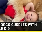 BIG DOGGO CUDDLES WITH LITTLE KID